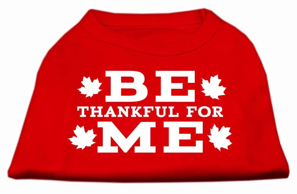 Be Thankful for Me Screen Print Shirt Red XXL (18)