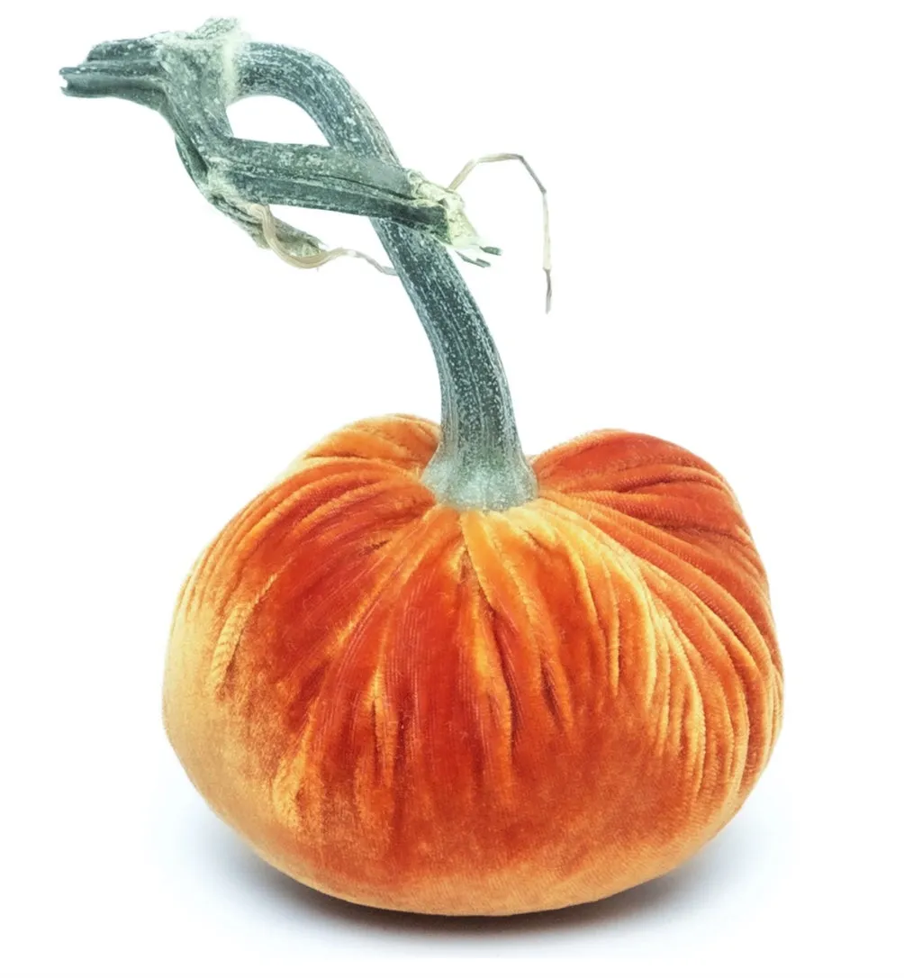 Hot Skwash Persimmon Velvet Pumpkin