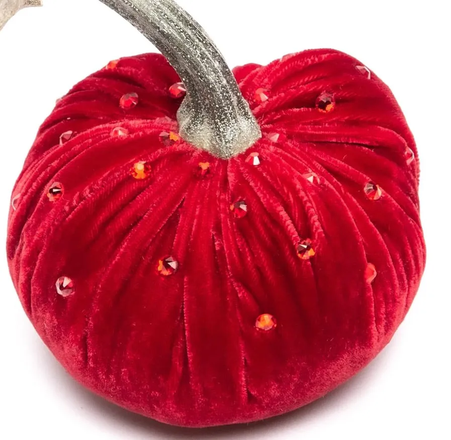 Hot Skwash Poppy Velvet Pumpkin