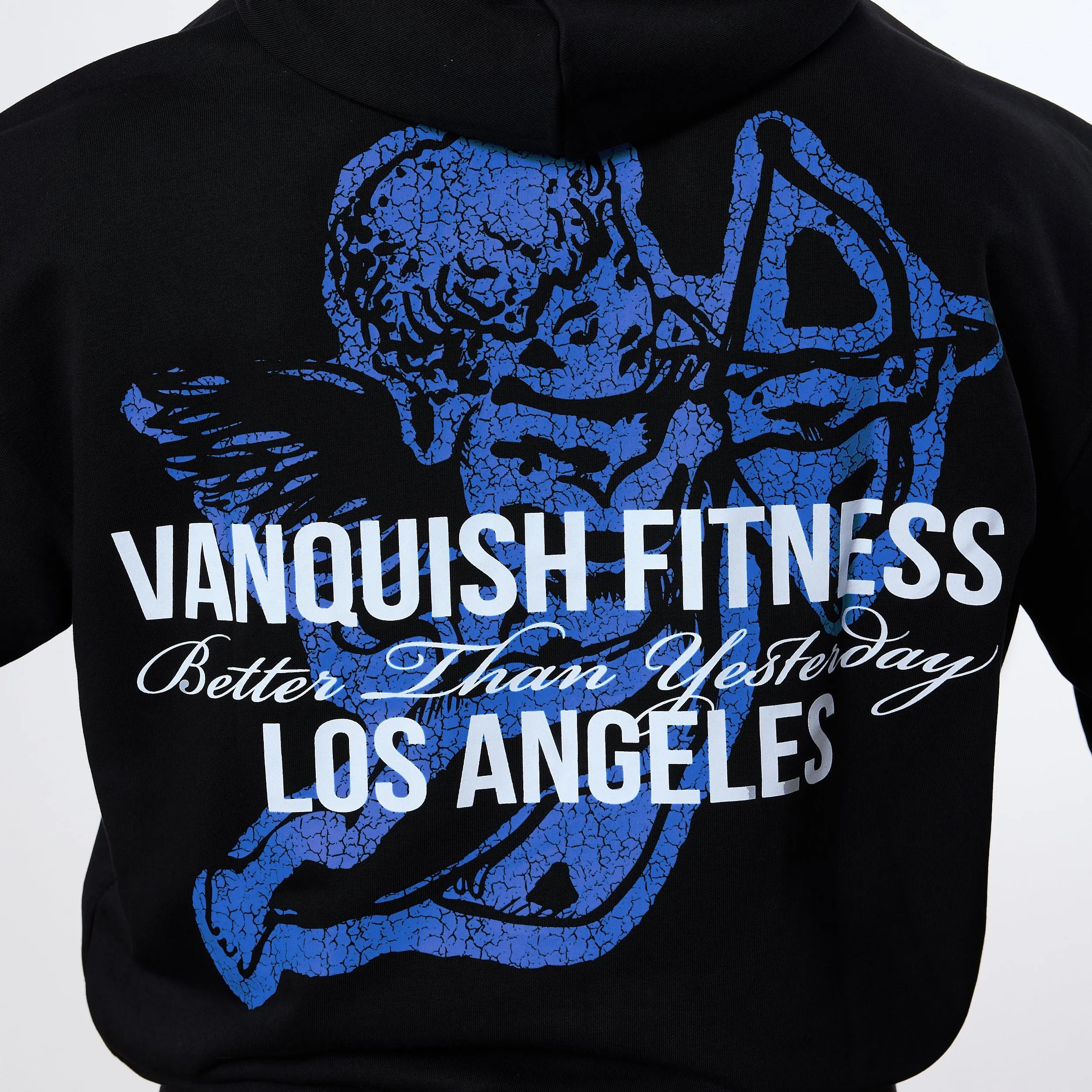 Vanquish TSP Black Cherub Hoodie